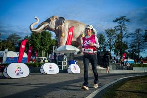 BIB: 
                            <button type="button" onclick="openModal(26541670)" class="btn btn-primary btn-sm float-right btn-popup" data-toggle="modal" data-target=".modal-high-quality">
                        <i class="fas fa-shopping-cart"></i> Add to Cart
                    </button>
                                            <button type="button" onclick="isThisMe(26541670, true)" class="btn btn-success btn-sm float-right btn-popup btn-isme hidden" data-toggle="tooltip" data-placement="bottom" title="นี่คือรูปของคุณใช่ไหม คลิกที่นี่เพื่อเอาเข้าอัลบั้ม">
                        <i class="fas fa-plus"></i> Add to album
                    </button>
                    <button type="button" onclick="isThisMe(26541670, false)" class="btn btn-warning btn-sm float-right btn-popup btn-isnotme hidden">
                        <i class="fas fa-ban"></i> Remove from album
                    </button>